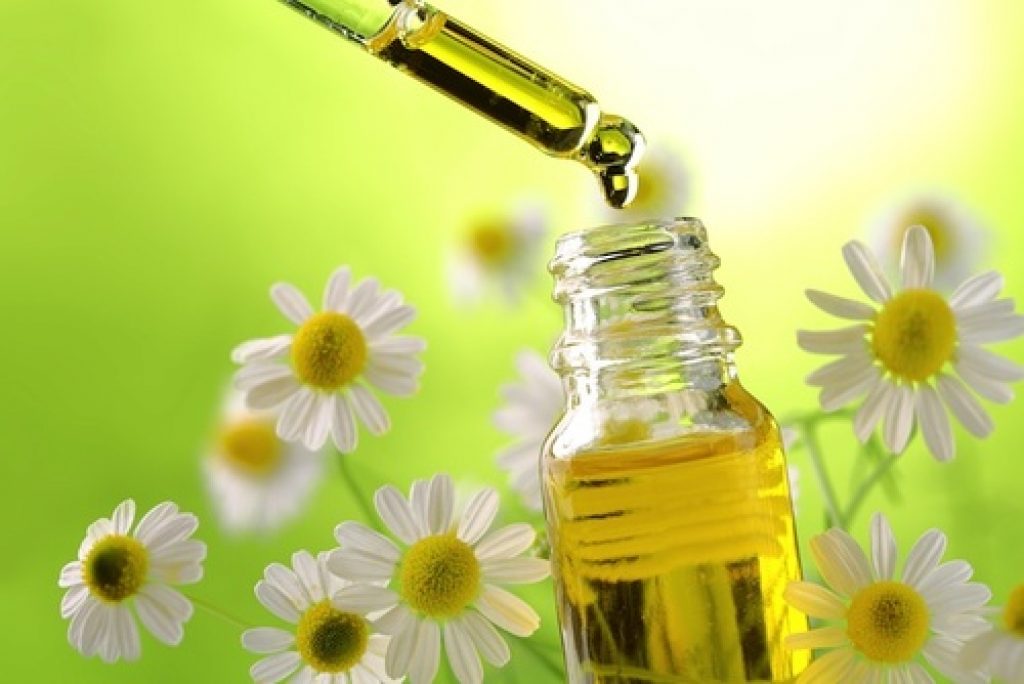 Olio essenziale di Camomilla Romana, proprietà del camomilla romana